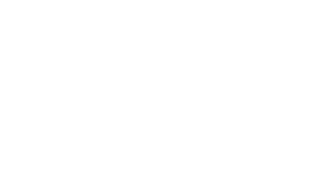 C Stumpo White Logo